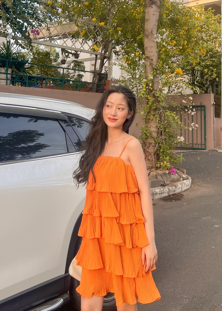Đầm dập li bèo tầng