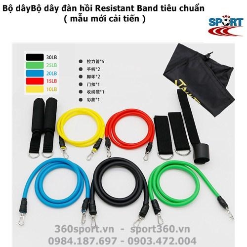 Bộ 5 dây đàn hồi Resistant Band tiêu chuẩn