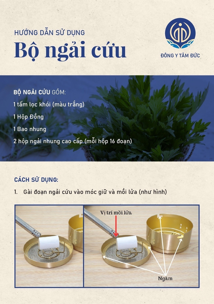 Combo ngải cứu