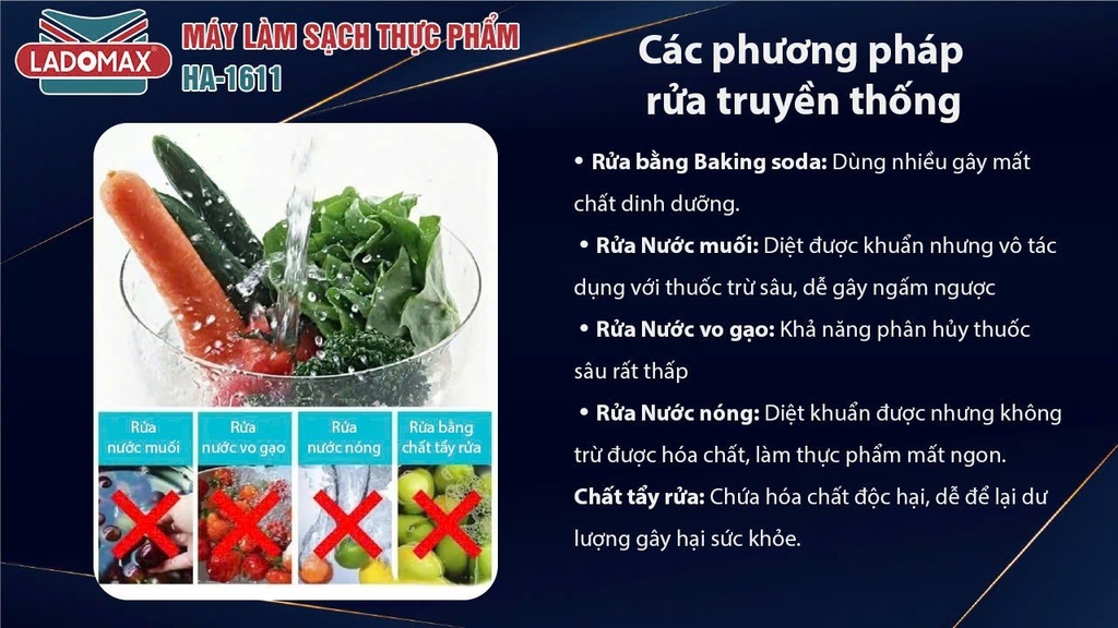 Máy làm sạch thực phẩm Ladomax Ha-1611 công nghệ Hydroxyl (1tx30)