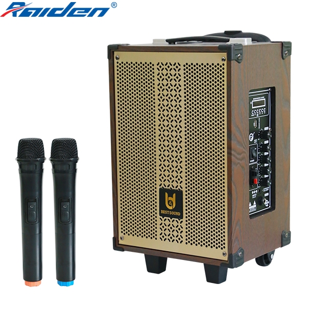 Loa kéo Bestsound BD-9080 New, Bass 8 inch, 30W