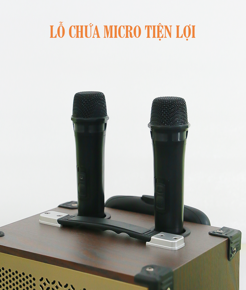 Loa kéo Bestsound BD-1080, Bass 10 inch, 30W