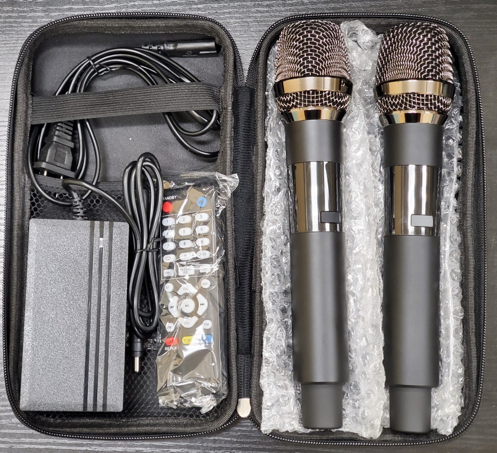 Loa xách tay bass đơn 25cm Ladomax T-125(DSP)