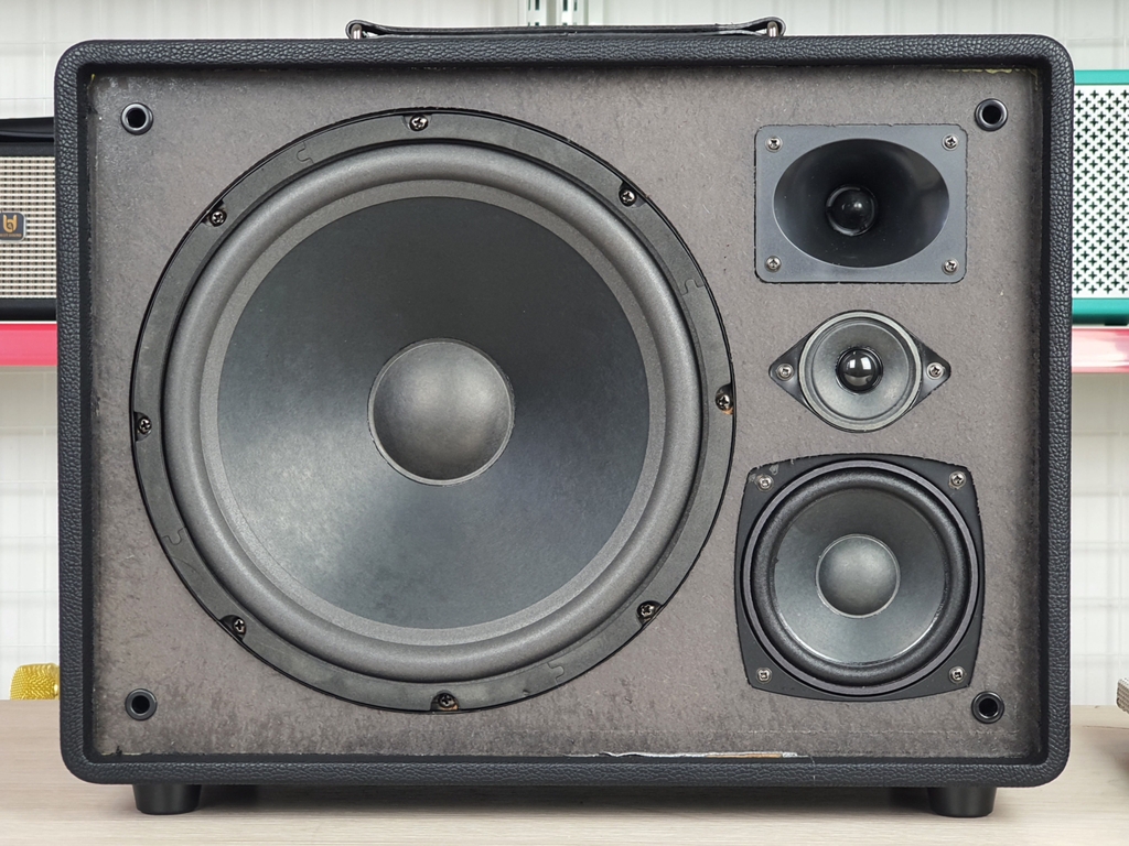 Loa xách tay bass đơn 25cm Ladomax X-125(DSP)