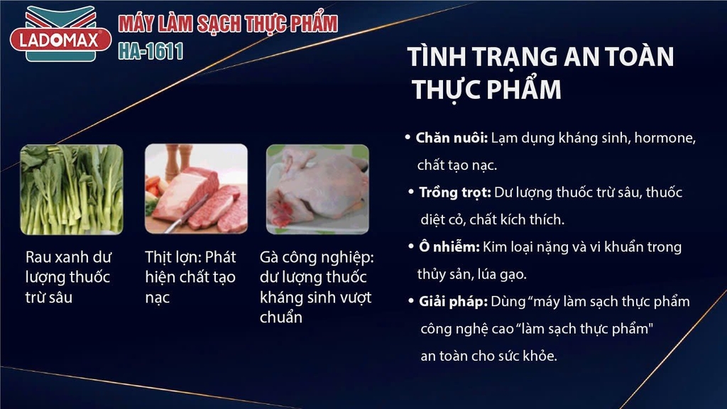 Máy làm sạch thực phẩm Ladomax Ha-1611 công nghệ Hydroxyl (1tx30)