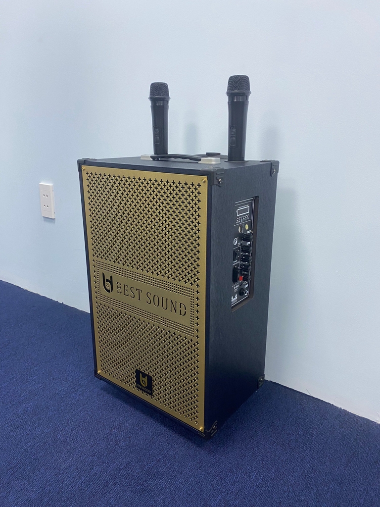 Loa kéo Bestsound BD-1280, Bass 12 inch, 30W