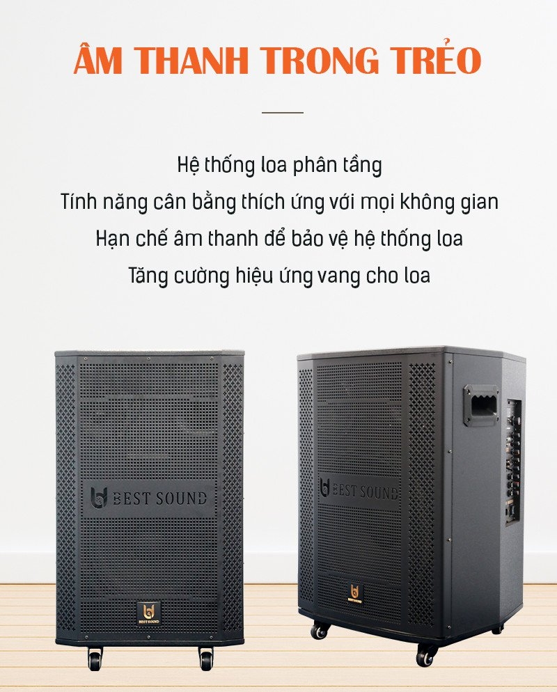 Loa 3 tấc đơn Bestsound BD-380