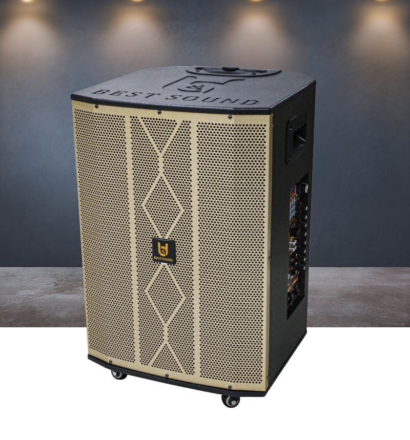 Loa kéo Bestsound D-9012, Bass 12 inch, 80W