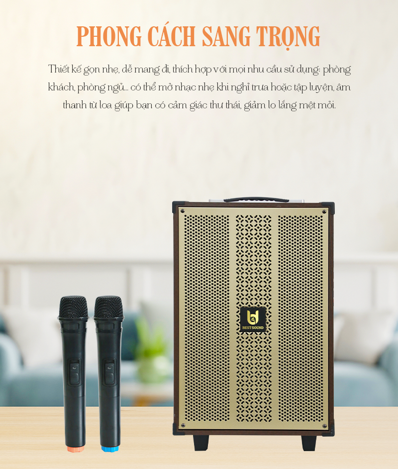 Loa kéo Bestsound BD-1080, Bass 10 inch, 30W