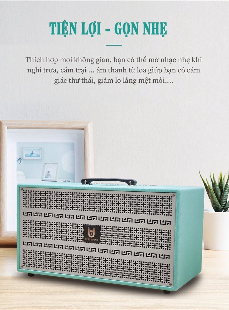 Loa kéo xách tay Bestsound M8PRO, Bass 8 inch đôi, 100W