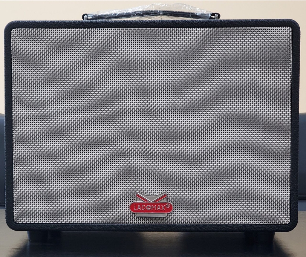 Loa xách tay bass đơn 25cm Ladomax X-125(DSP)