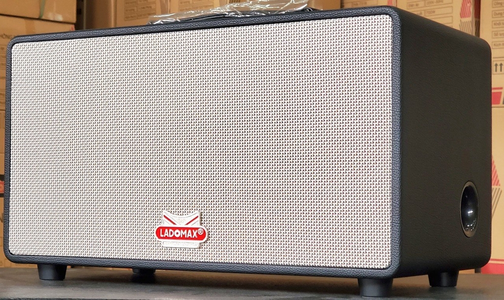 Loa xách tay bass đôi 16cm Ladomax X-216(DSP)