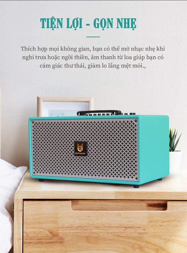 Loa kéo xách tay cao cấp Bestsound M6S, Bass 6.5 inch đôi, 100W