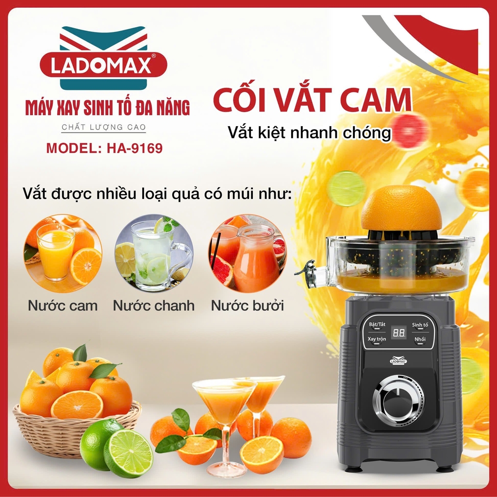 Máy xay sinh tố Ladomax HA-9169