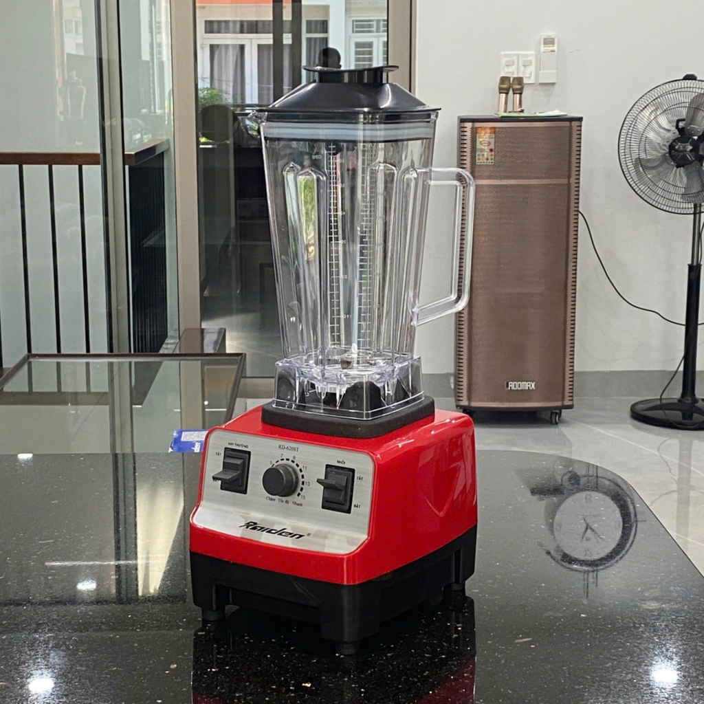 Máy xay sinh tố Raiden RD-620ST (1tx6)