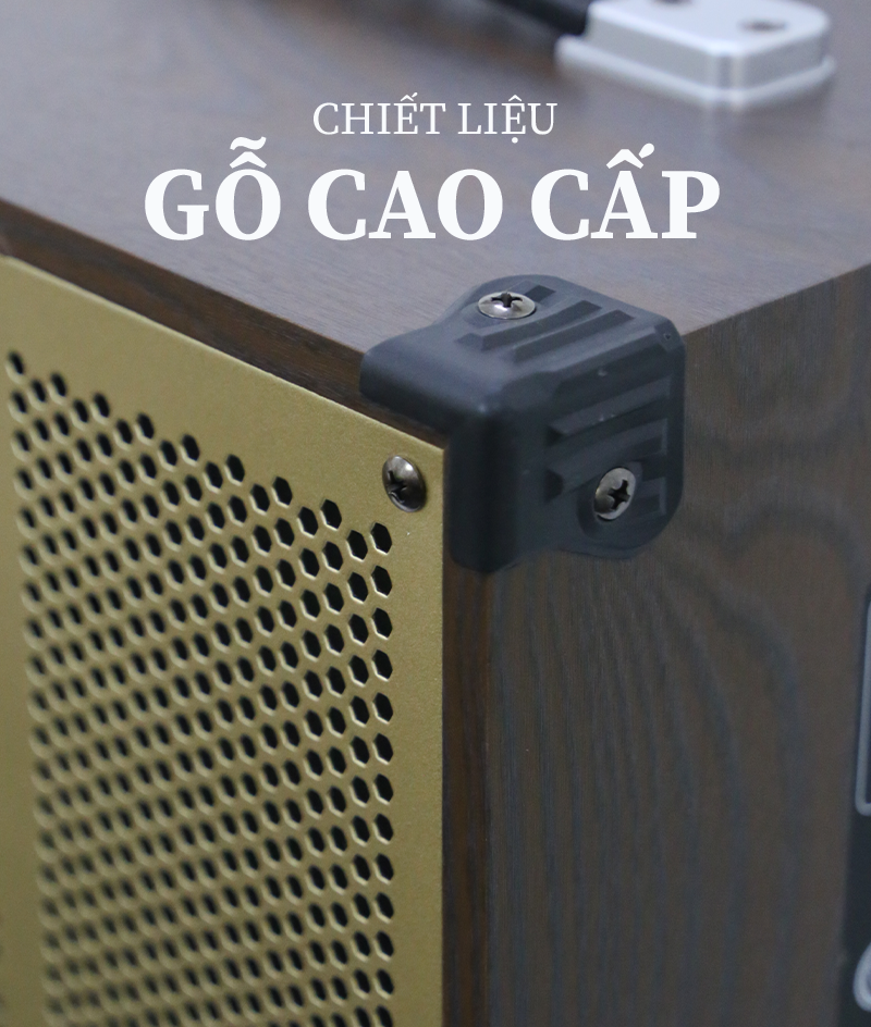 Loa kéo Bestsound BD-1080, Bass 10 inch, 30W