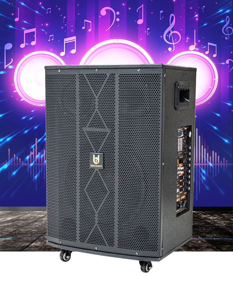 Loa kéo Bestsound D-9012, Bass 12 inch, 80W