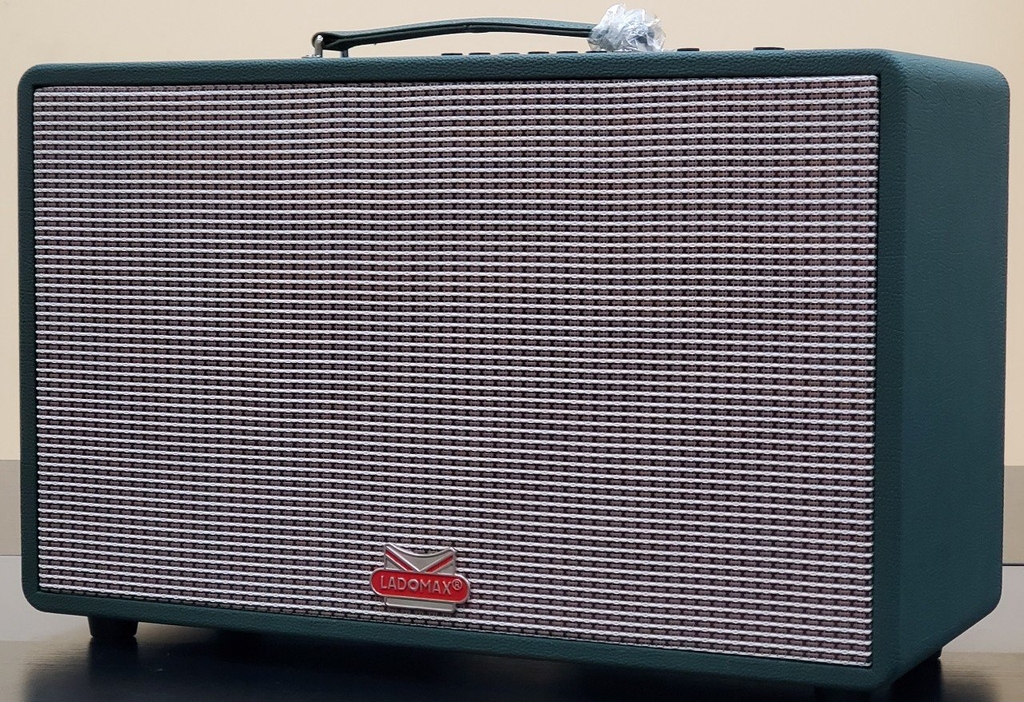 Loa xách tay bass đơn 25cm Ladomax T-125(DSP)