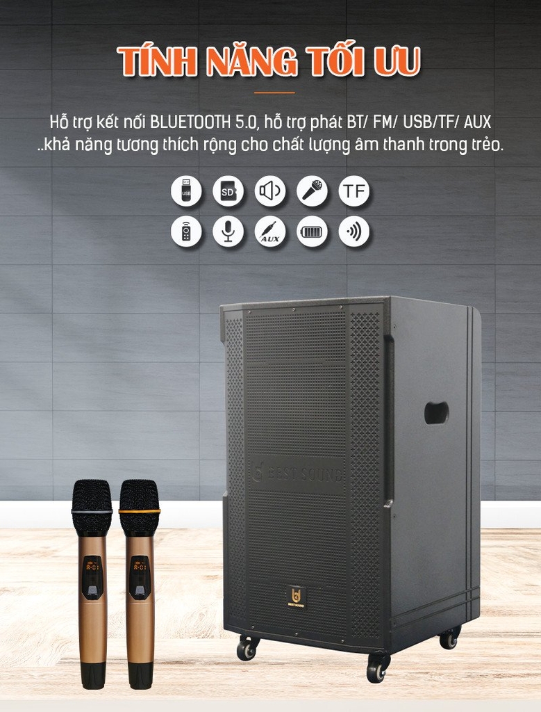 Loa kéo Bestsound BD-4200