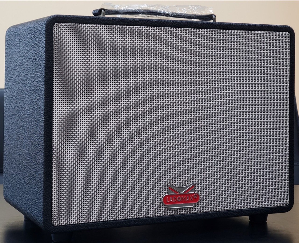 Loa xách tay bass đơn 25cm Ladomax X-125(DSP)
