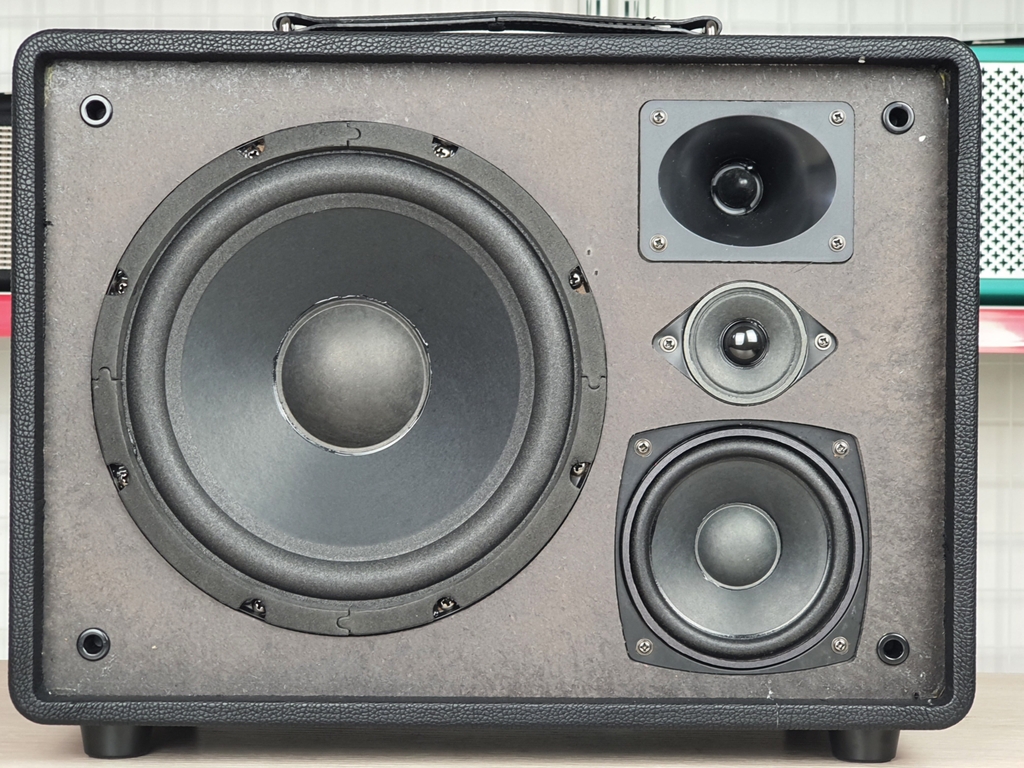 Loa xách tay bass đơn 20cm Ladomax X-120(DSP)