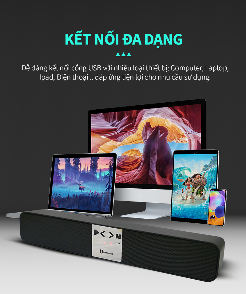 Loa vi tính Bestsound BD510