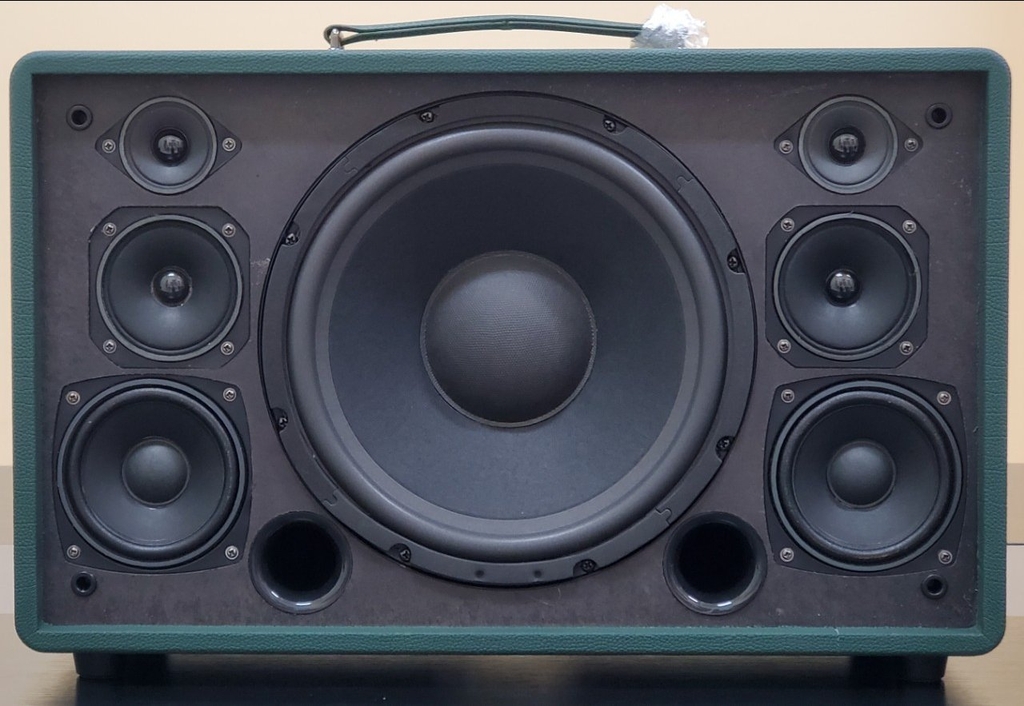 Loa xách tay bass đơn 25cm Ladomax T-125(DSP)