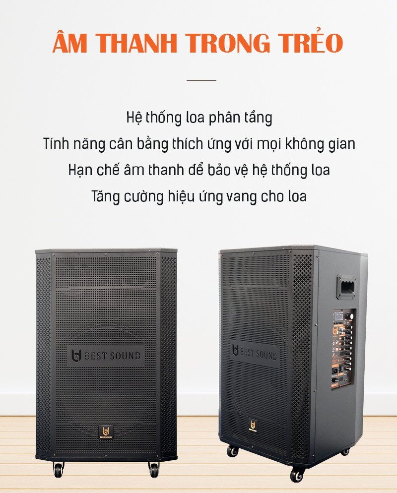 Loa 5 tấc đơn Bestsound BD-560