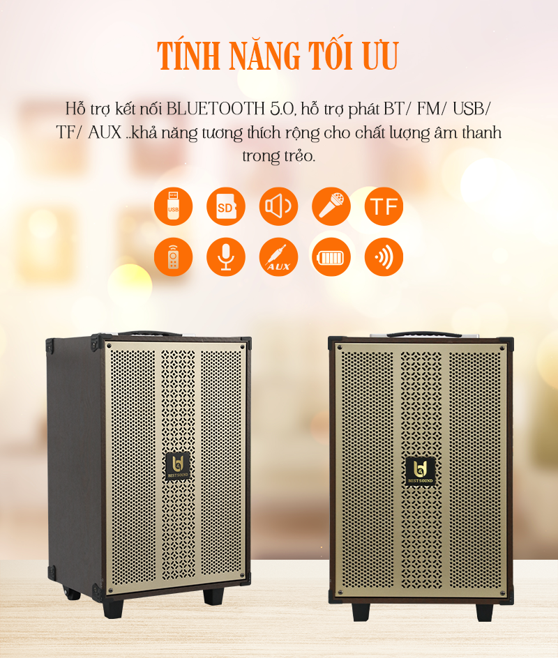 Loa kéo Bestsound BD-1080, Bass 10 inch, 30W