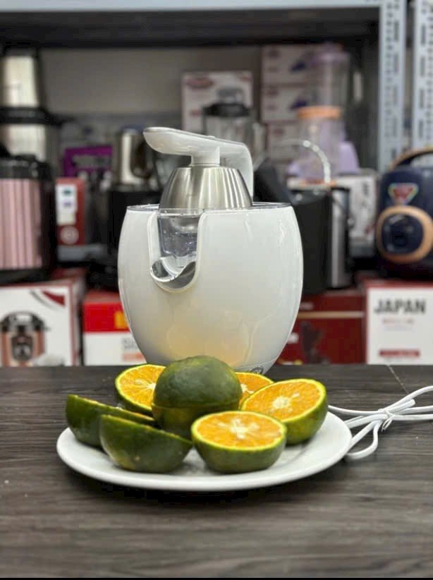 Máy vắt cam 300W Ririhong VA-6016A (1tx4)