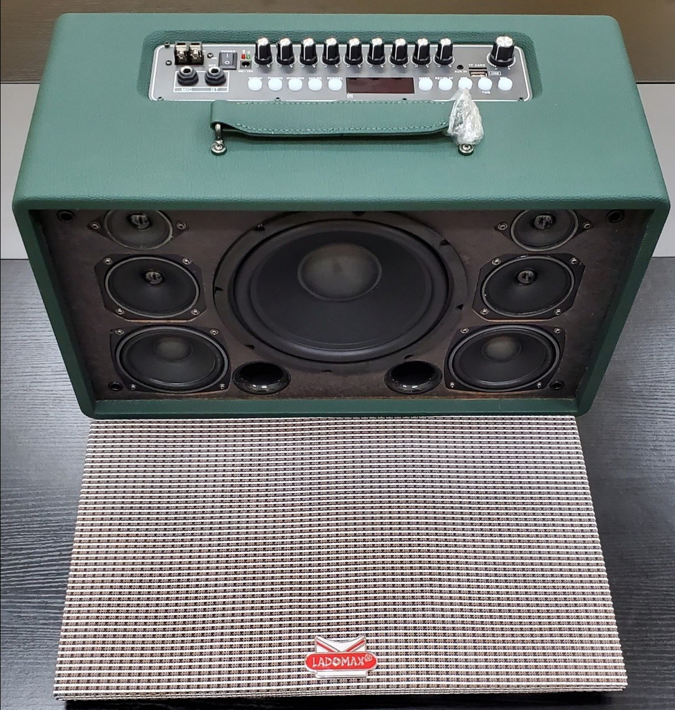 Loa xách tay bass đơn 20cm Ladomax T-120(DSP)