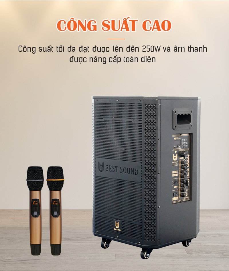 Loa 5 tấc đơn Bestsound BD-560