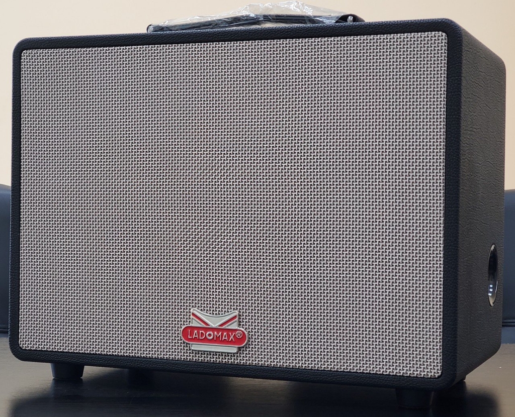 Loa xách tay bass đơn 25cm Ladomax X-125(DSP)