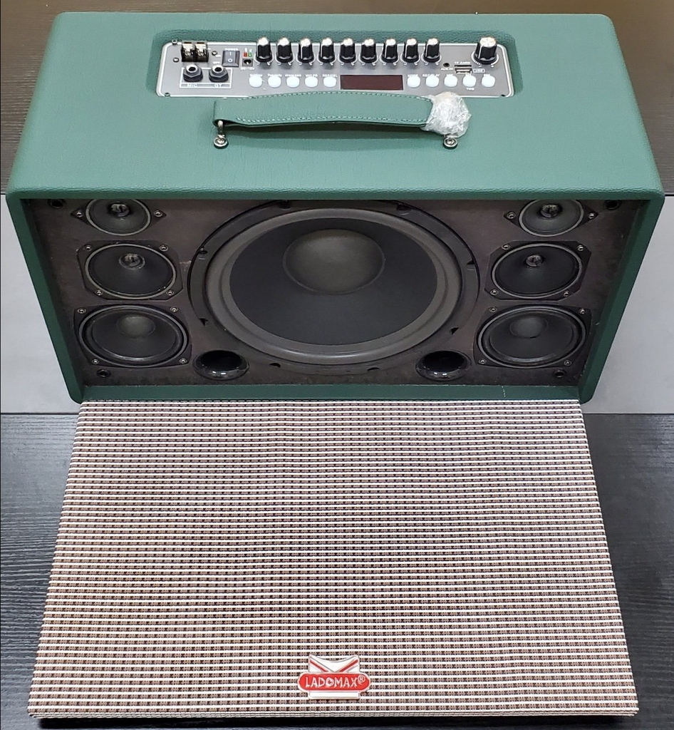 Loa xách tay bass đơn 25cm Ladomax T-125(DSP)