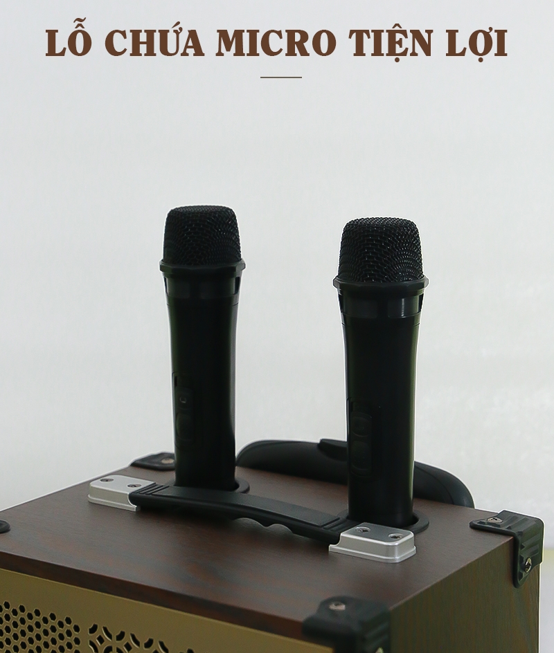 Loa kéo Bestsound BD-9080 New, Bass 8 inch, 30W