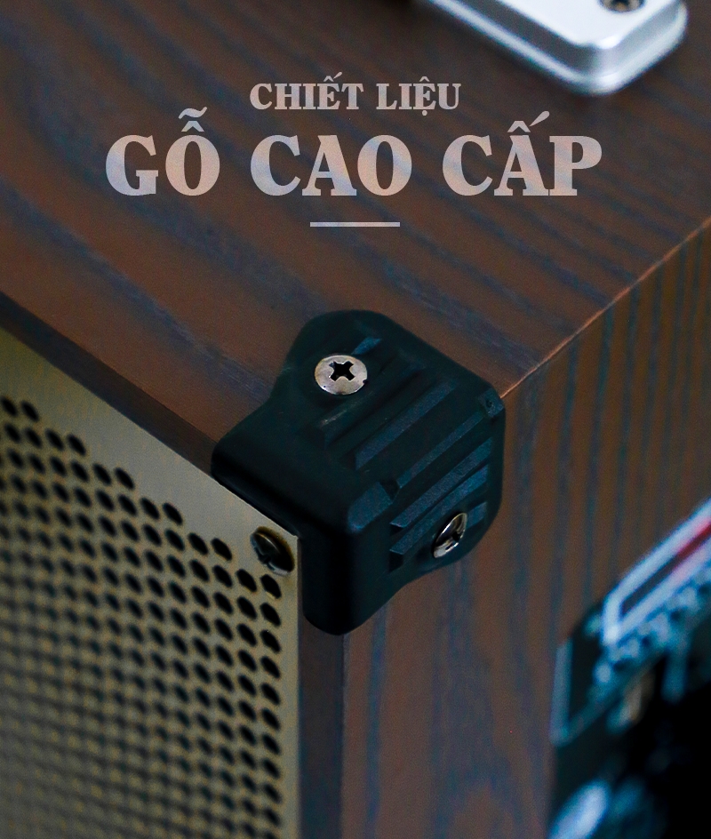 Loa kéo Bestsound BD-9080 New, Bass 8 inch, 30W