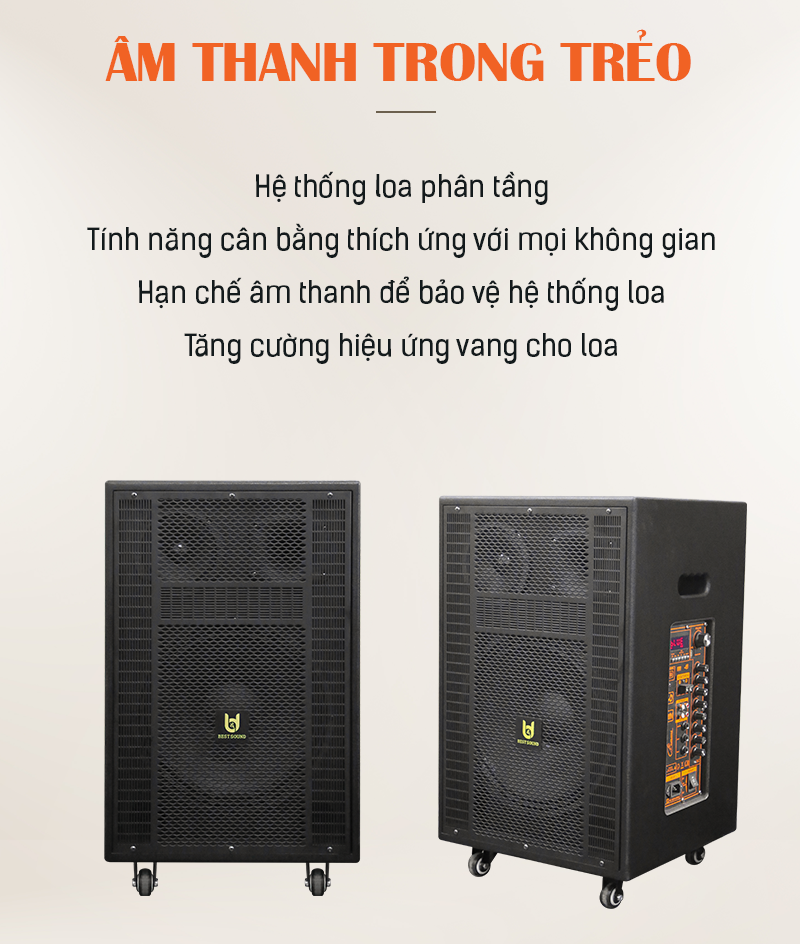 Loa kéo Bestsound BD-8012, Bass 12 inch, công suất 80W