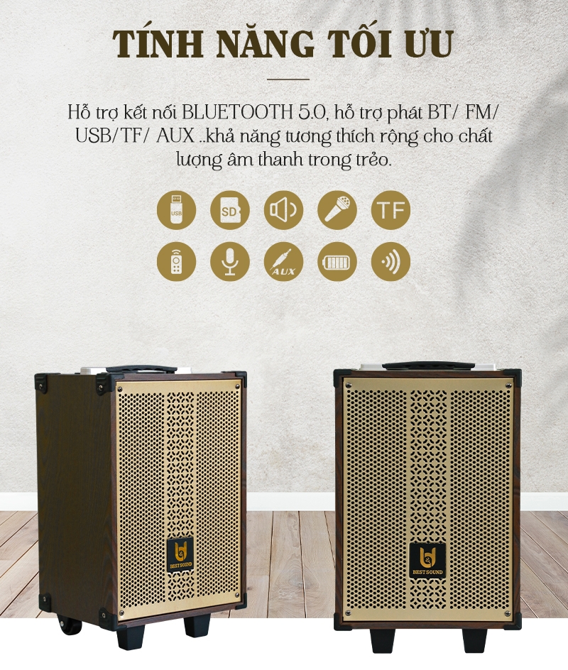 Loa kéo Bestsound BD-9080 New, Bass 8 inch, 30W