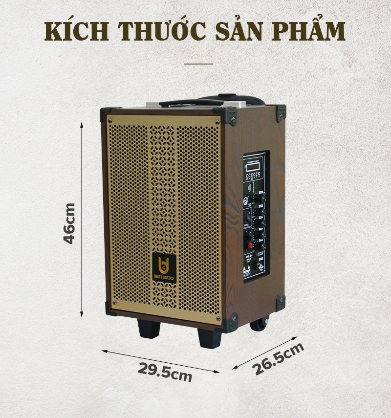 Loa kéo Bestsound BD-9080 New, Bass 8 inch, 30W