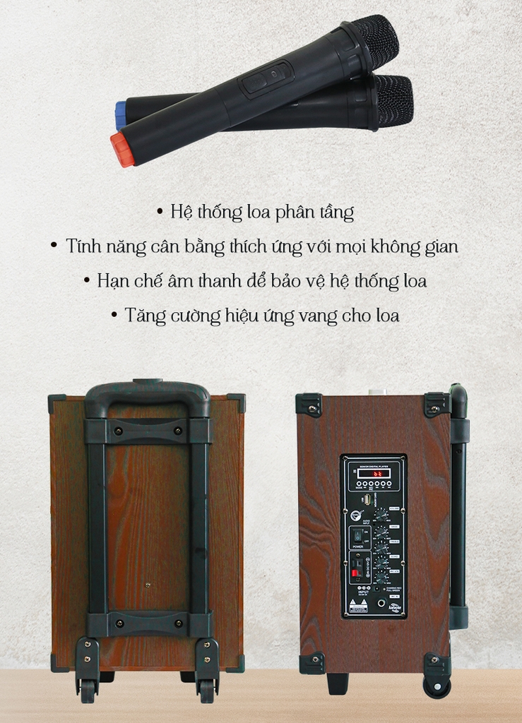 Loa kéo Bestsound BD-9080 New, Bass 8 inch, 30W