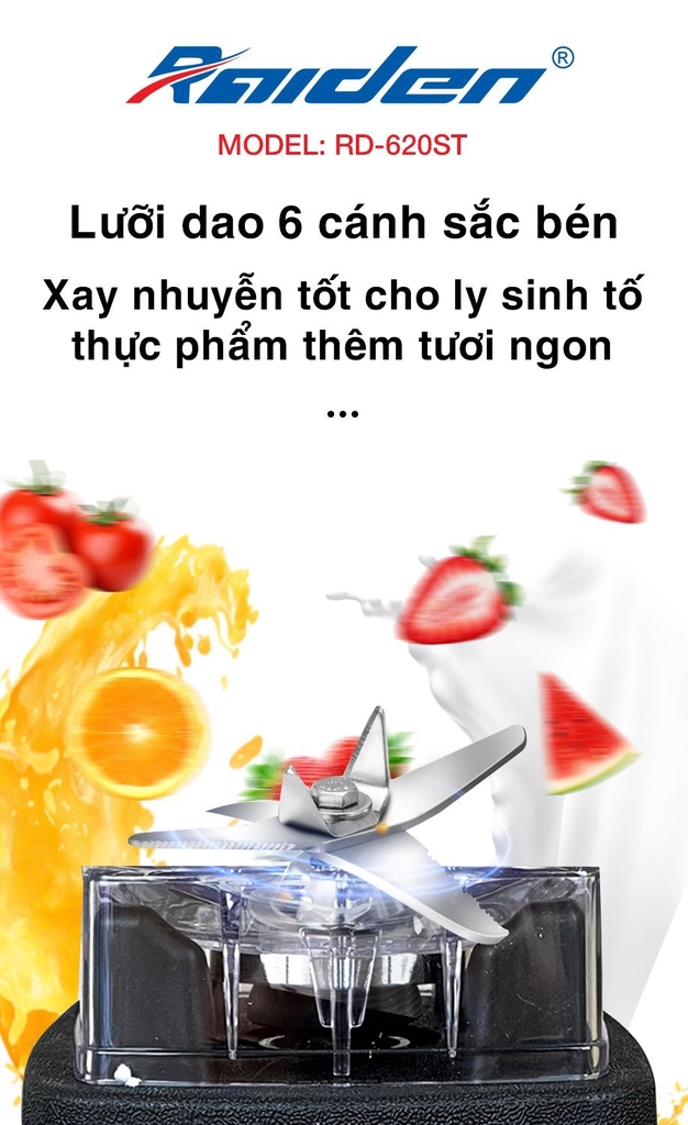 Máy xay sinh tố Raiden RD-620ST (1tx6)