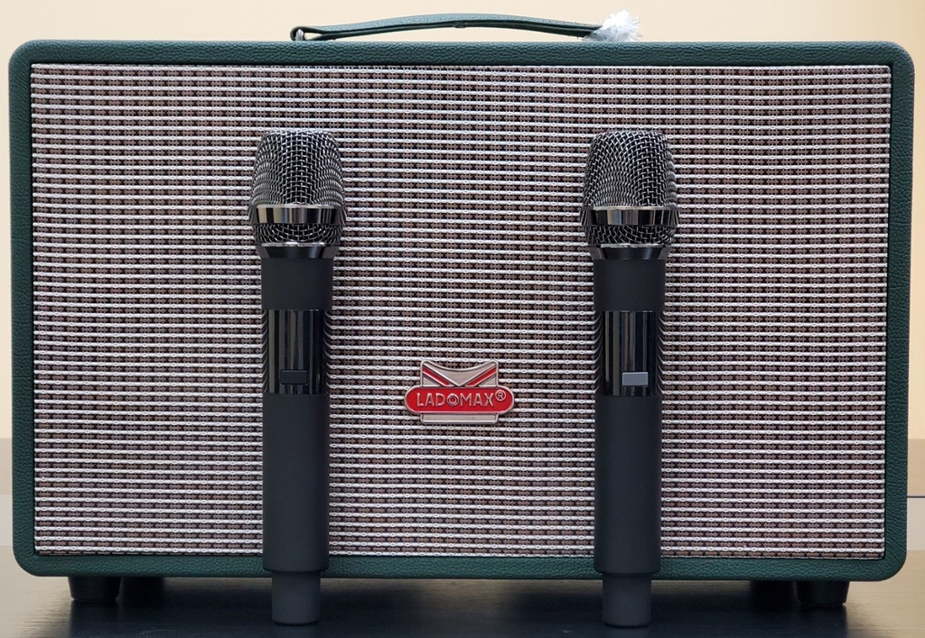 Loa xách tay bass đôi 16cm Ladomax T-216(DSP)