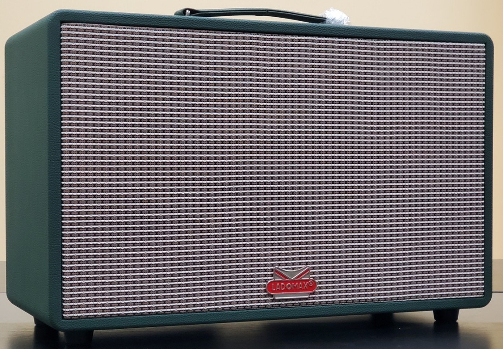 Loa xách tay bass đơn 25cm Ladomax T-125(DSP)