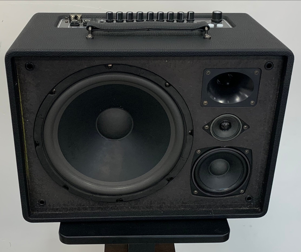 Loa xách tay bass đơn 25cm Ladomax X-125(DSP)