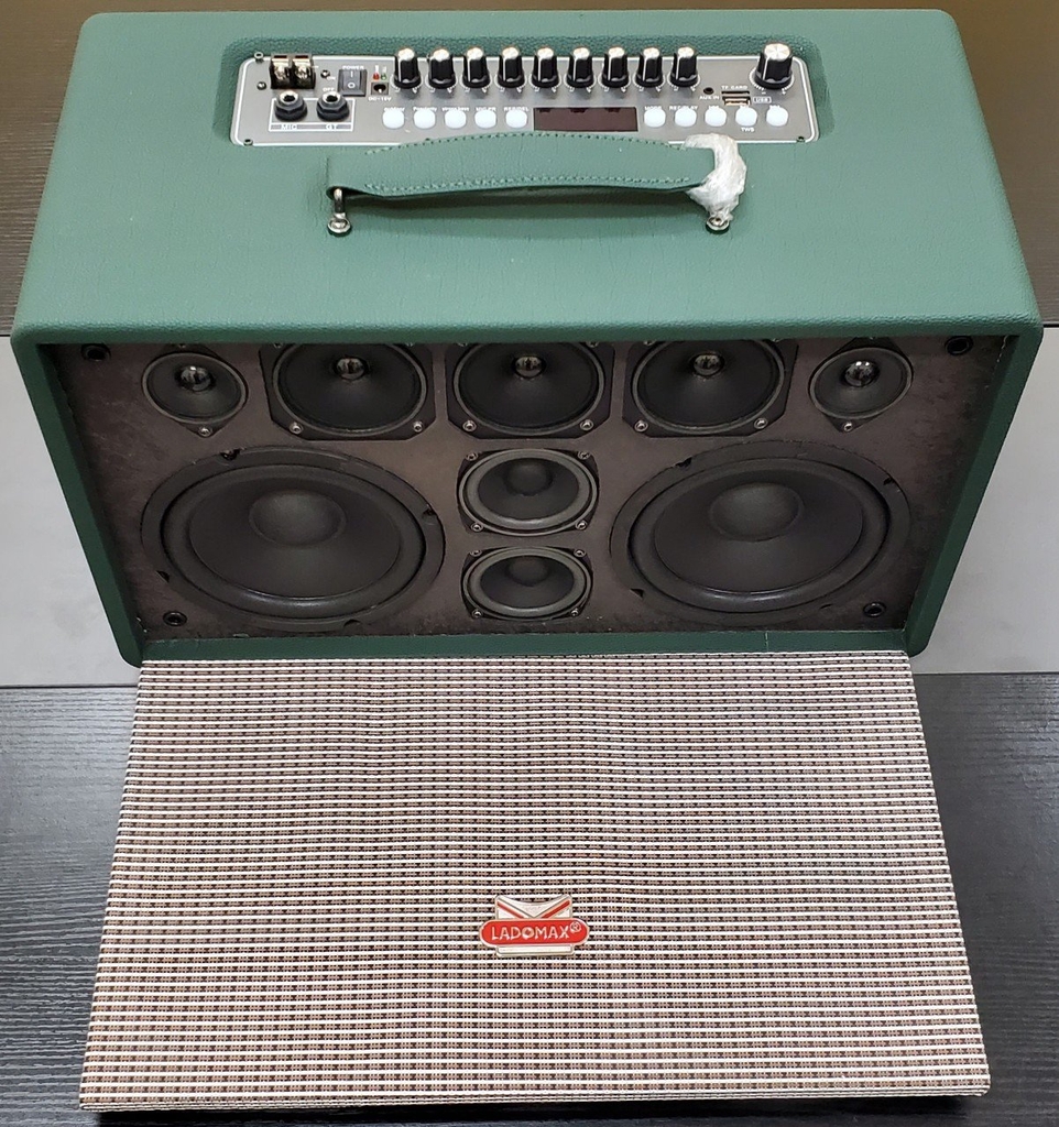 Loa xách tay bass đôi 16cm Ladomax T-216(DSP)