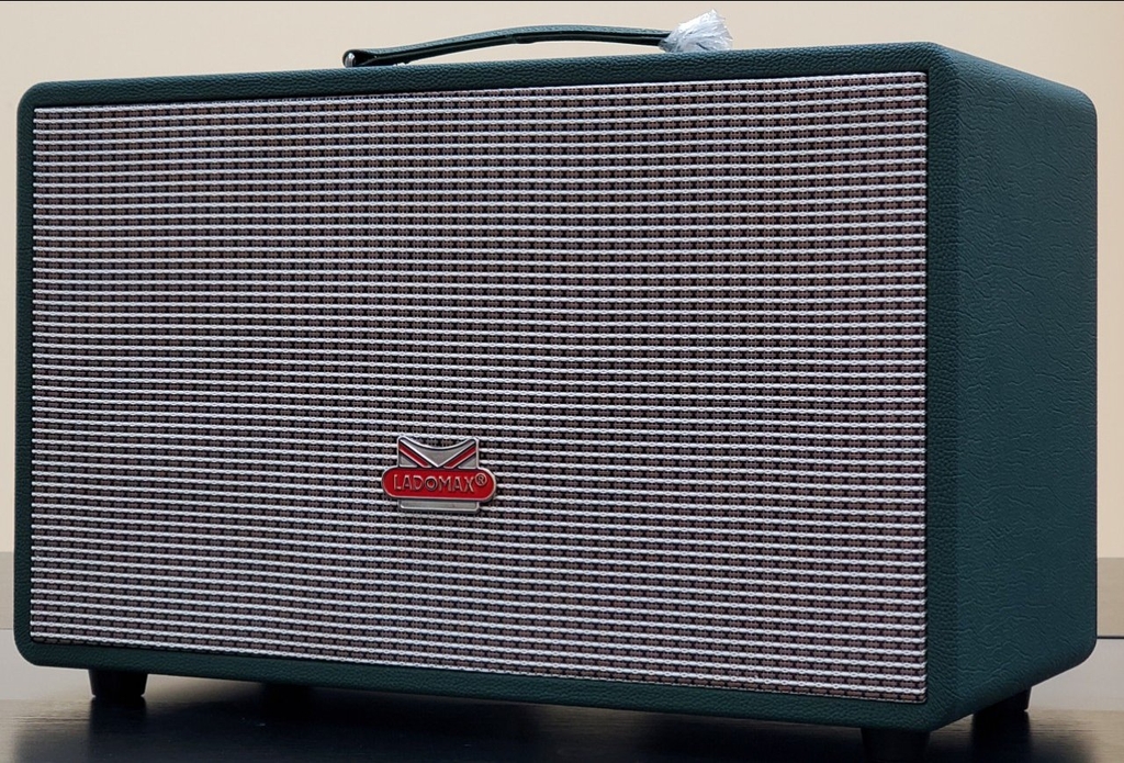 Loa xách tay bass đôi 16cm Ladomax T-216(DSP)