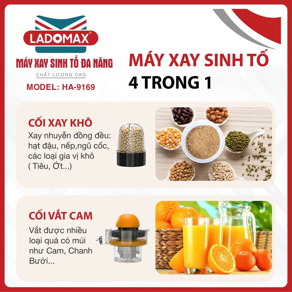Máy xay sinh tố Ladomax HA-9169