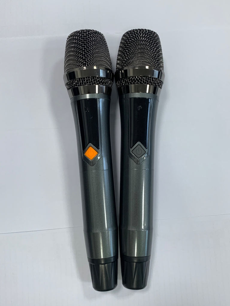 Loa xách tay bass đơn 25cm Ladomax X-125(DSP)