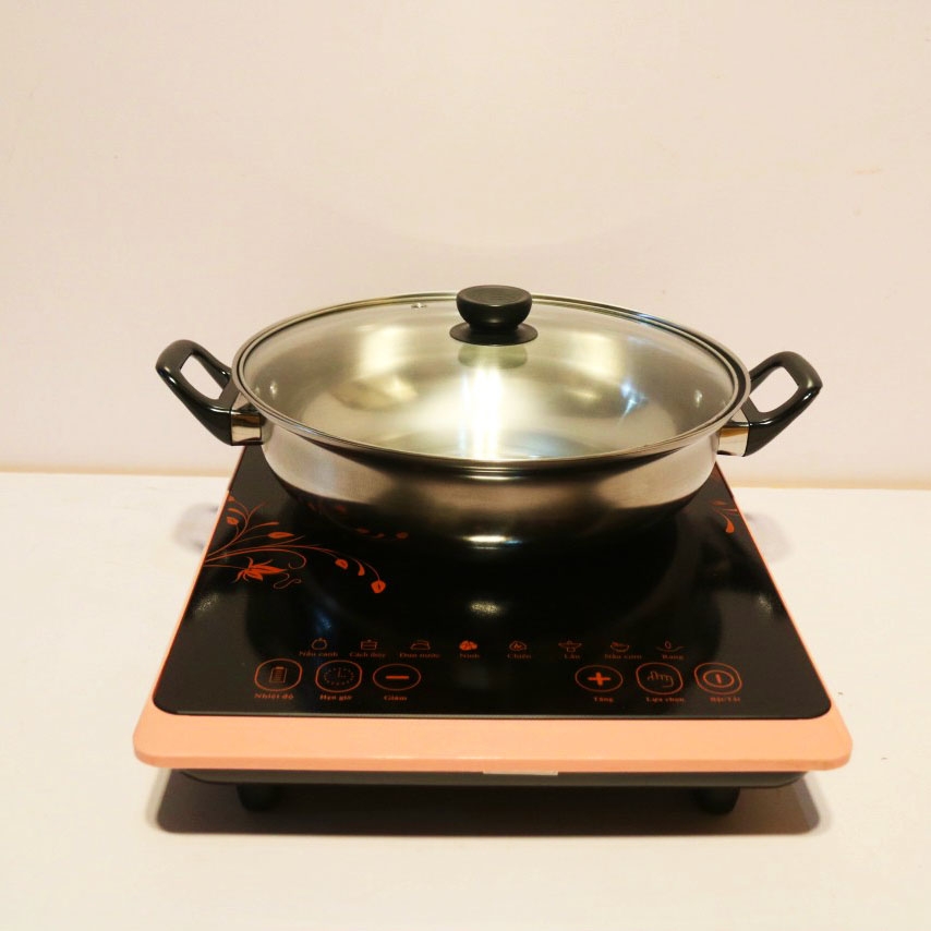 Bếp điện từ Fujika FJ-BT1920