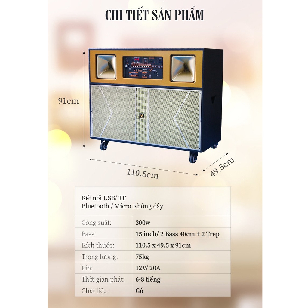 Loa kéo tủ Bestsound BD-5800 Basa 40 đôi, 300W